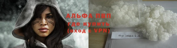 прущая мука Новодвинск