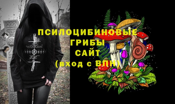прущая мука Новодвинск